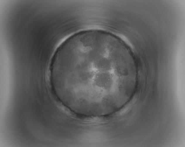 X0000114090879200910051423