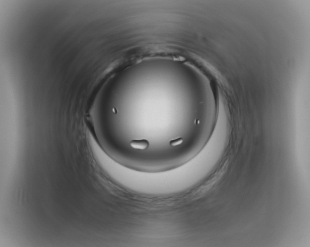 X0000114090881200910051423