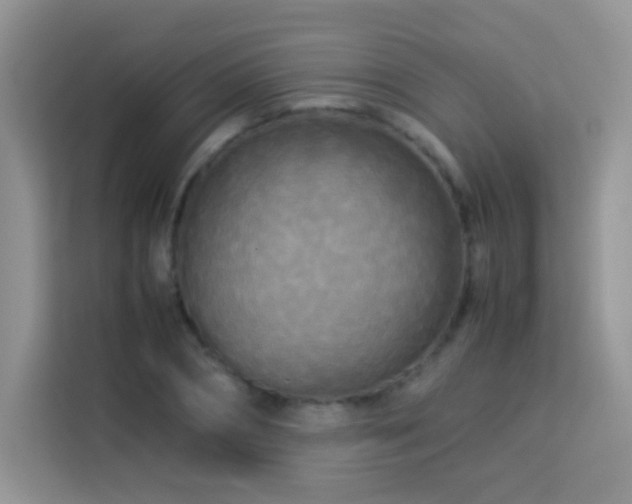 X0000114090882200910051423