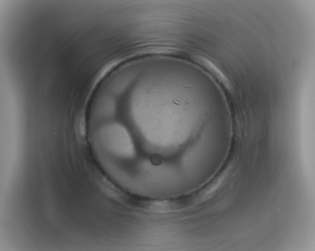X0000114090883200910051423