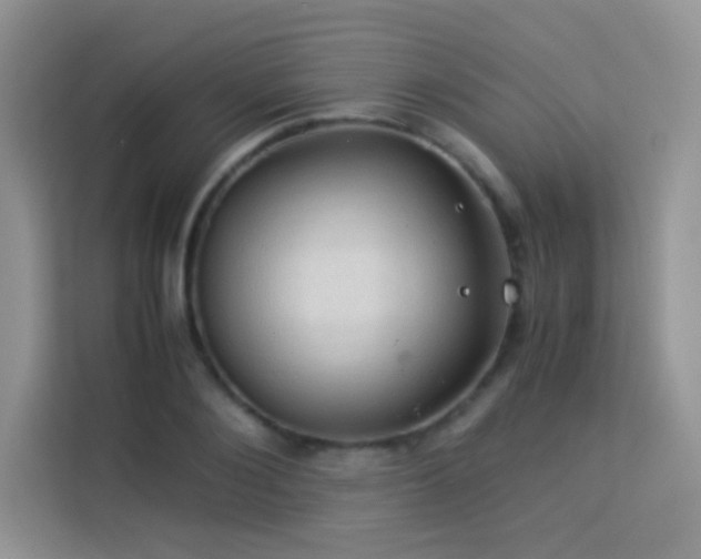 X0000114090884200910051423
