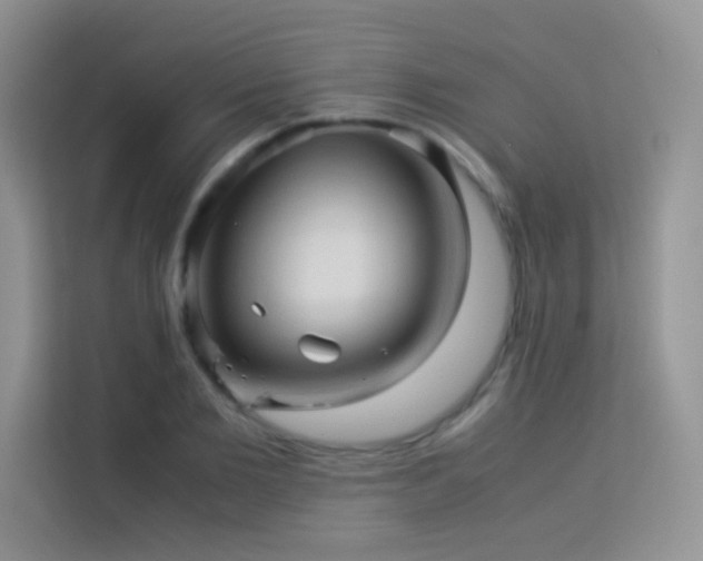 X0000114090885200910051423