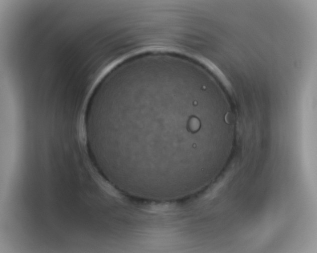 X0000114090887200910051423
