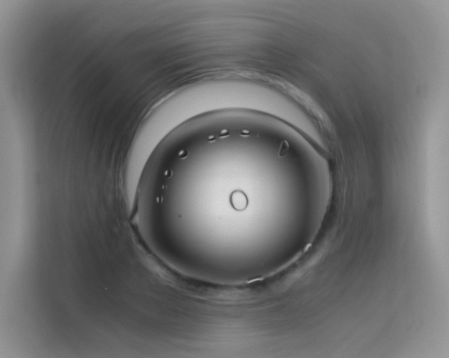 X0000114090889200910051423