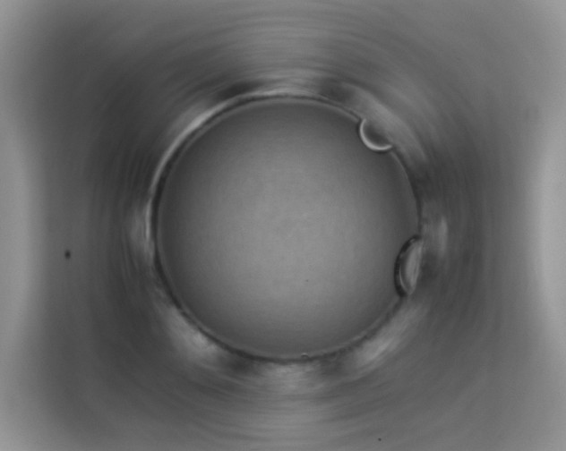 X0000114090892200910051423