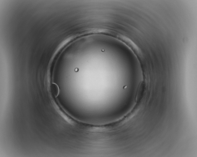 X0000114090894200910051423
