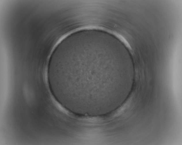 X0000114090895200910051423