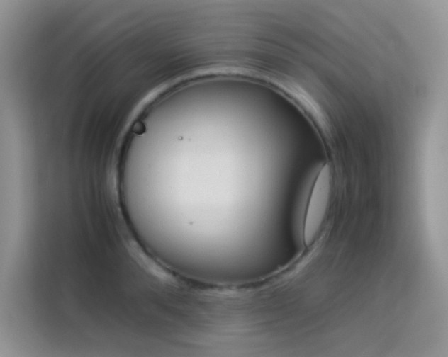 X0000114090896200910051423