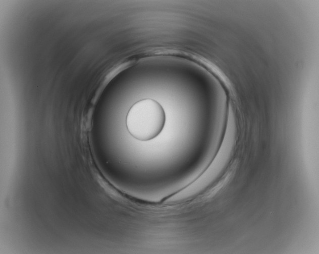 X0000114090897200910051423