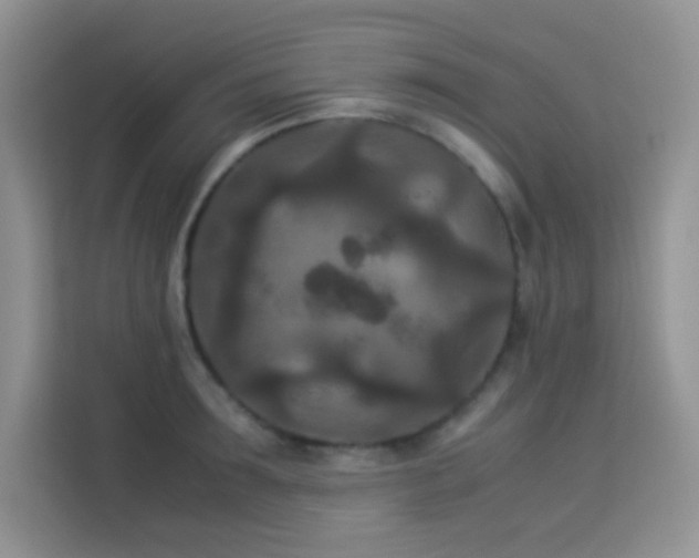 X0000114090899200910051423