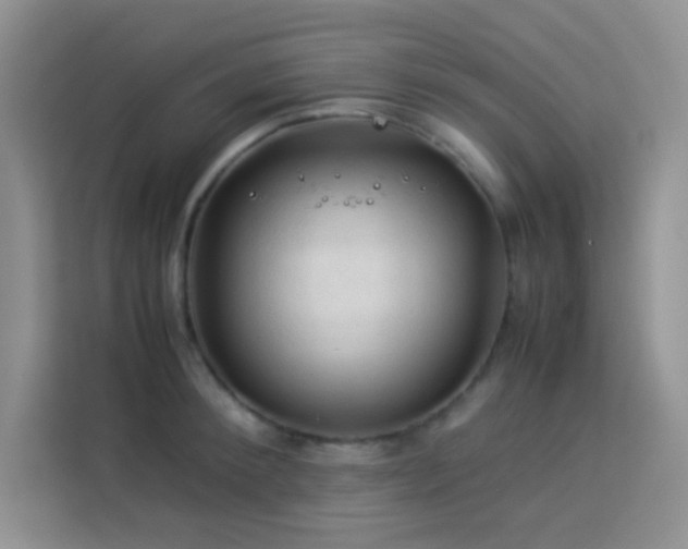 X0000114090900200910051423