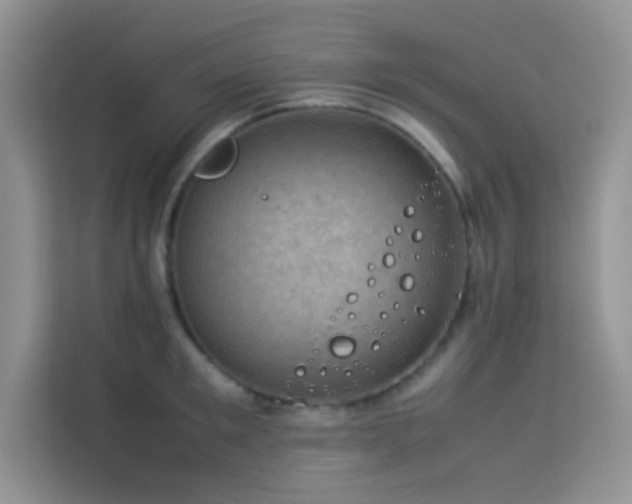 X0000114090901200910051423