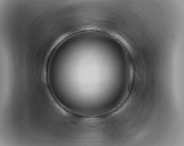 X0000114090902200910051423