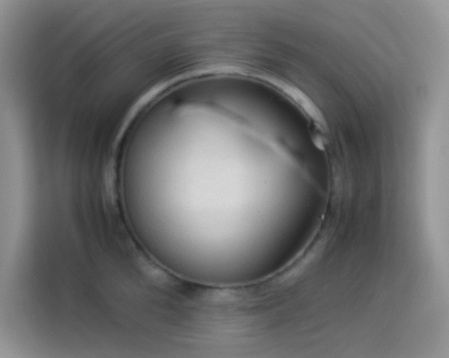X0000114090904200910051423