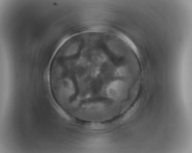 X0000114090907200910051423