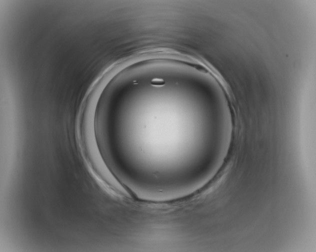 X0000114090909200910051422