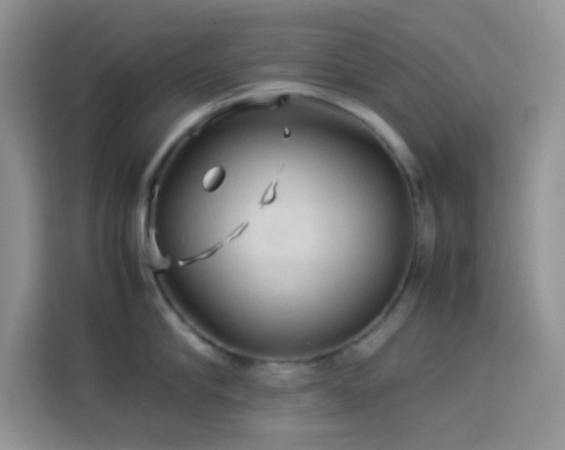 X0000114090910200910051422