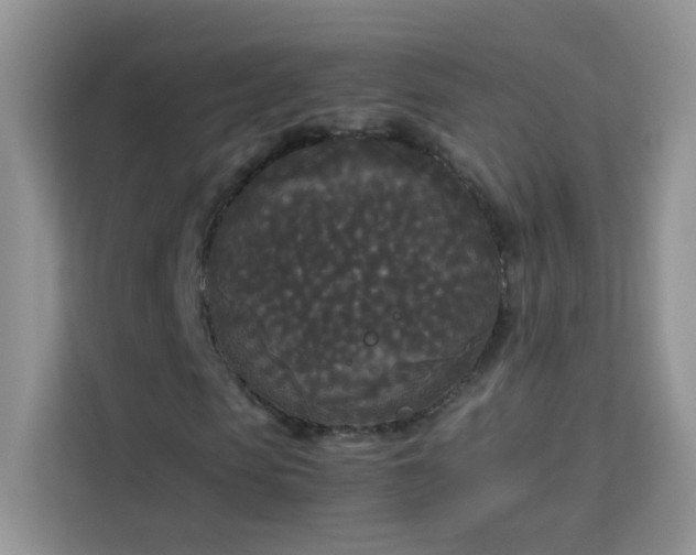X0000114090913200910051422