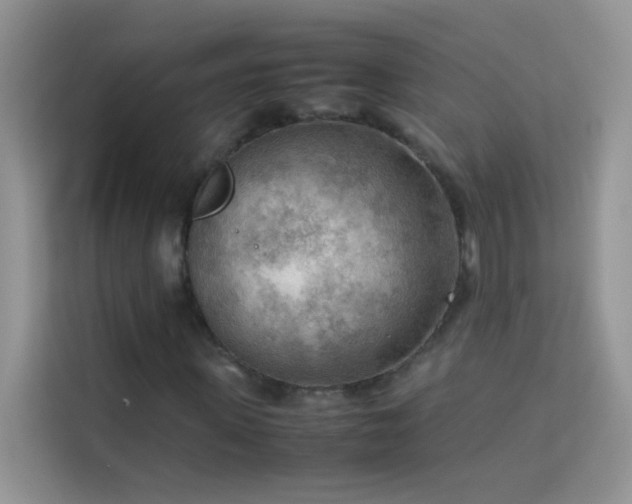 X0000114090915200910051422