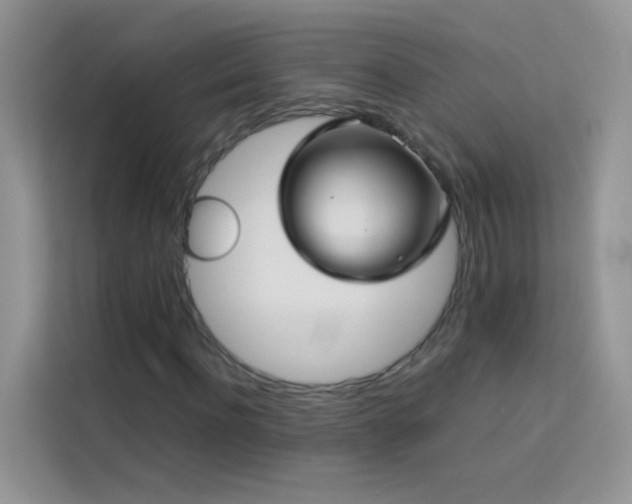 X0000114090916200910051422
