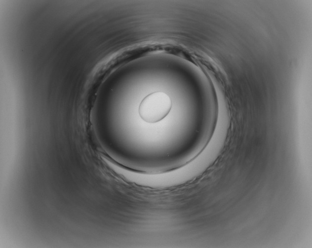 X0000114090920200910051422
