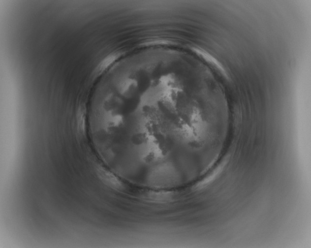 X0000114090921200910051422