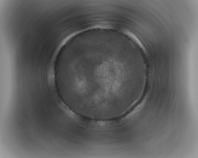X0000114090923200910051422