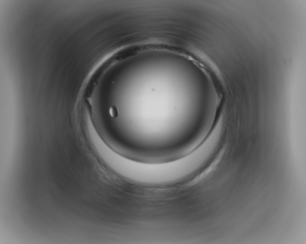 X0000114090925200910051422