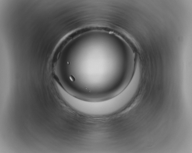 X0000114090926200910051422