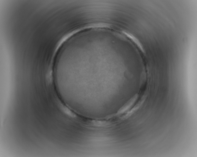 X0000114090928200910051422