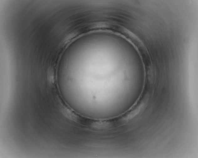 X0000114090929200910051422