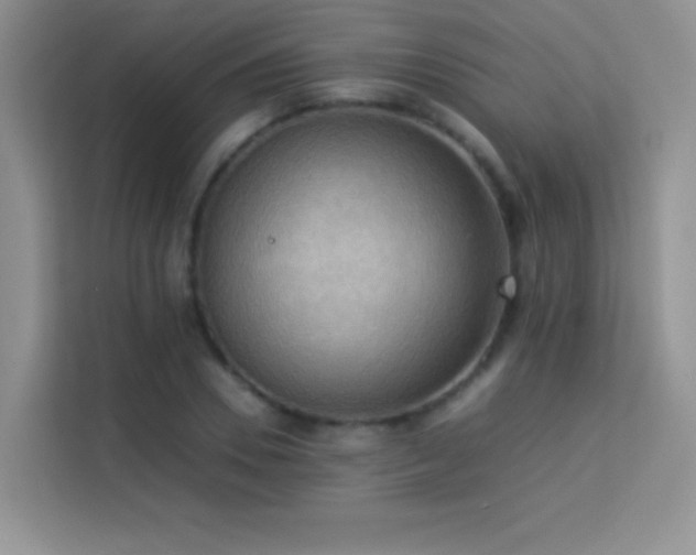 X0000114090930200910051422