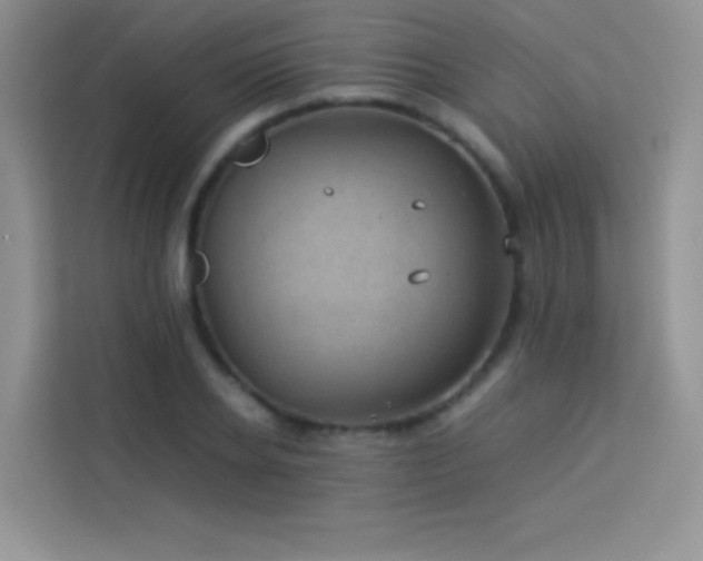 X0000114090934200910051422