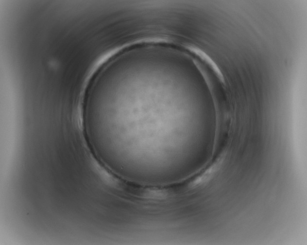 X0000114090935200910051422