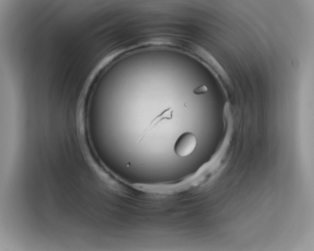 X0000114090939200910051422
