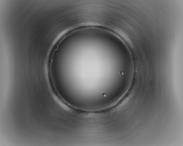X0000114090942200910051422