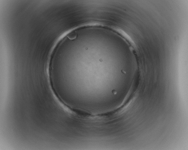 X0000114090943200910051422