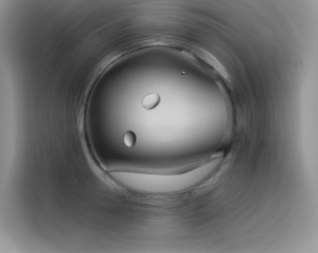 X0000114090946200910051422