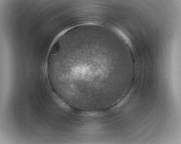 X0000114090948200910051422