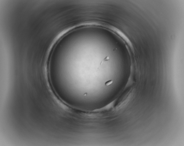 X0000114090951200910051422
