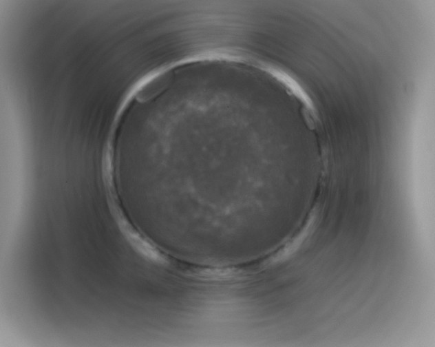 X0000114090952200910051422