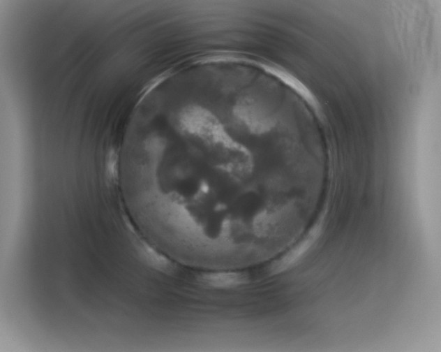 X0000114090953200910051422