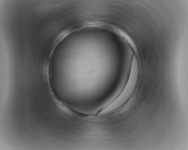 X0000114090954200910051422