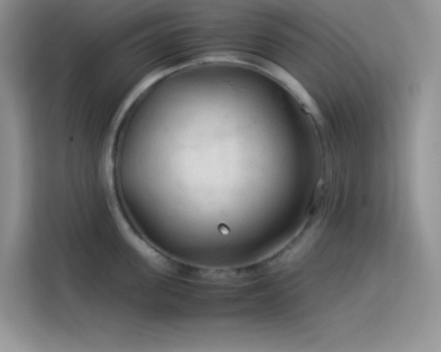 X0000114090955200910051422