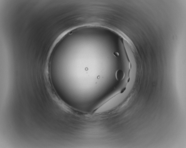 X0000114090956200910051422