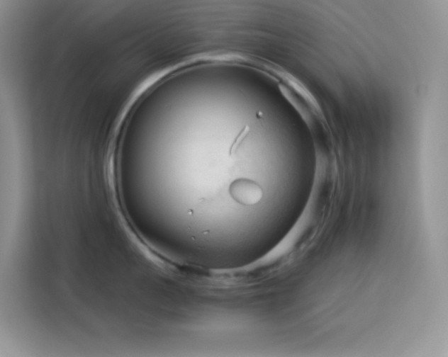 X0000114090959200910051422