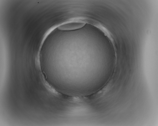 X0000114090960200910051422