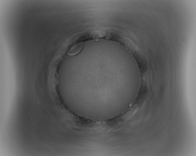 X0000114090961200910051422