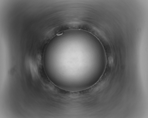 X0000114090964200910051422