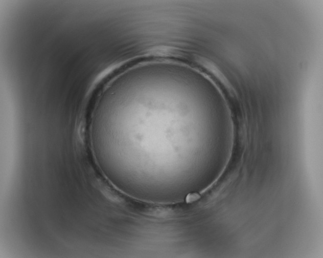 X0000114090971200910051422